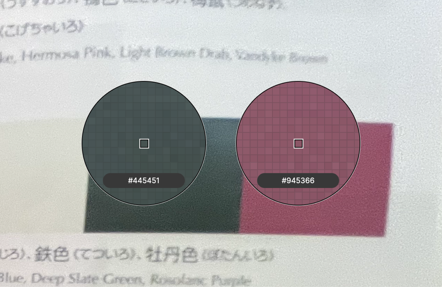 North Star screen 24