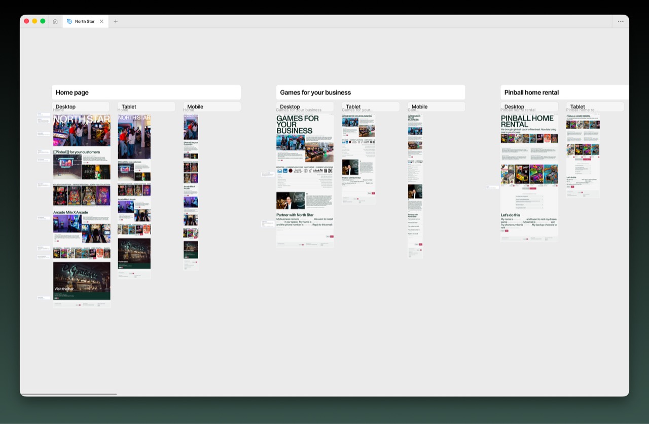 North Star screen 25