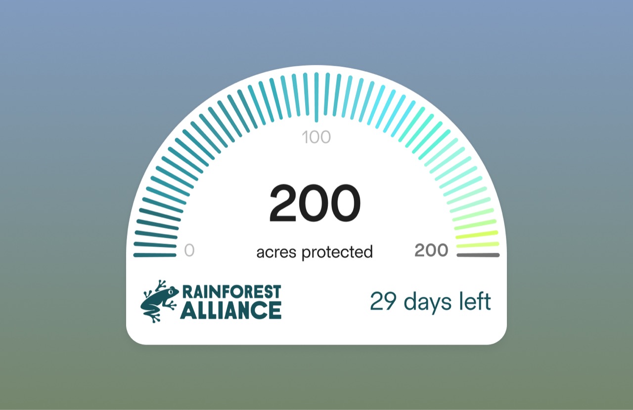 PlayFitt app screen 92